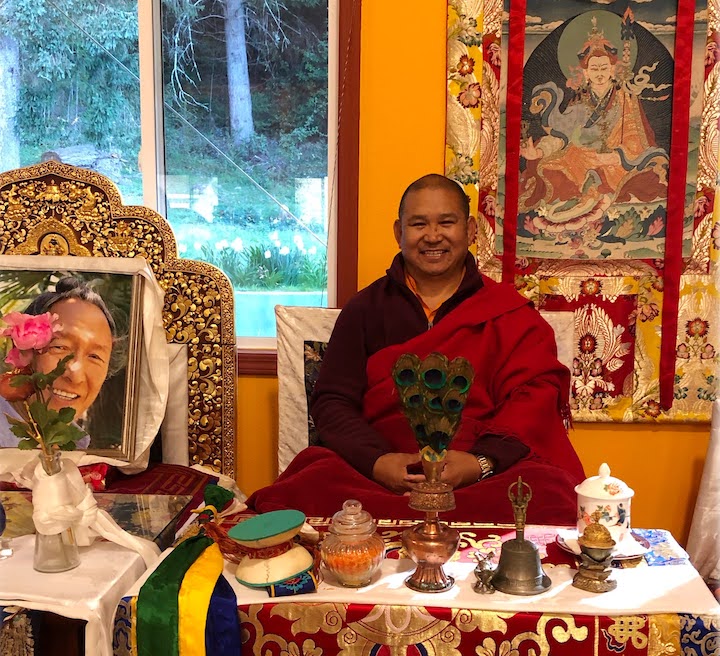 Tulku Thadral Rinpoche throne