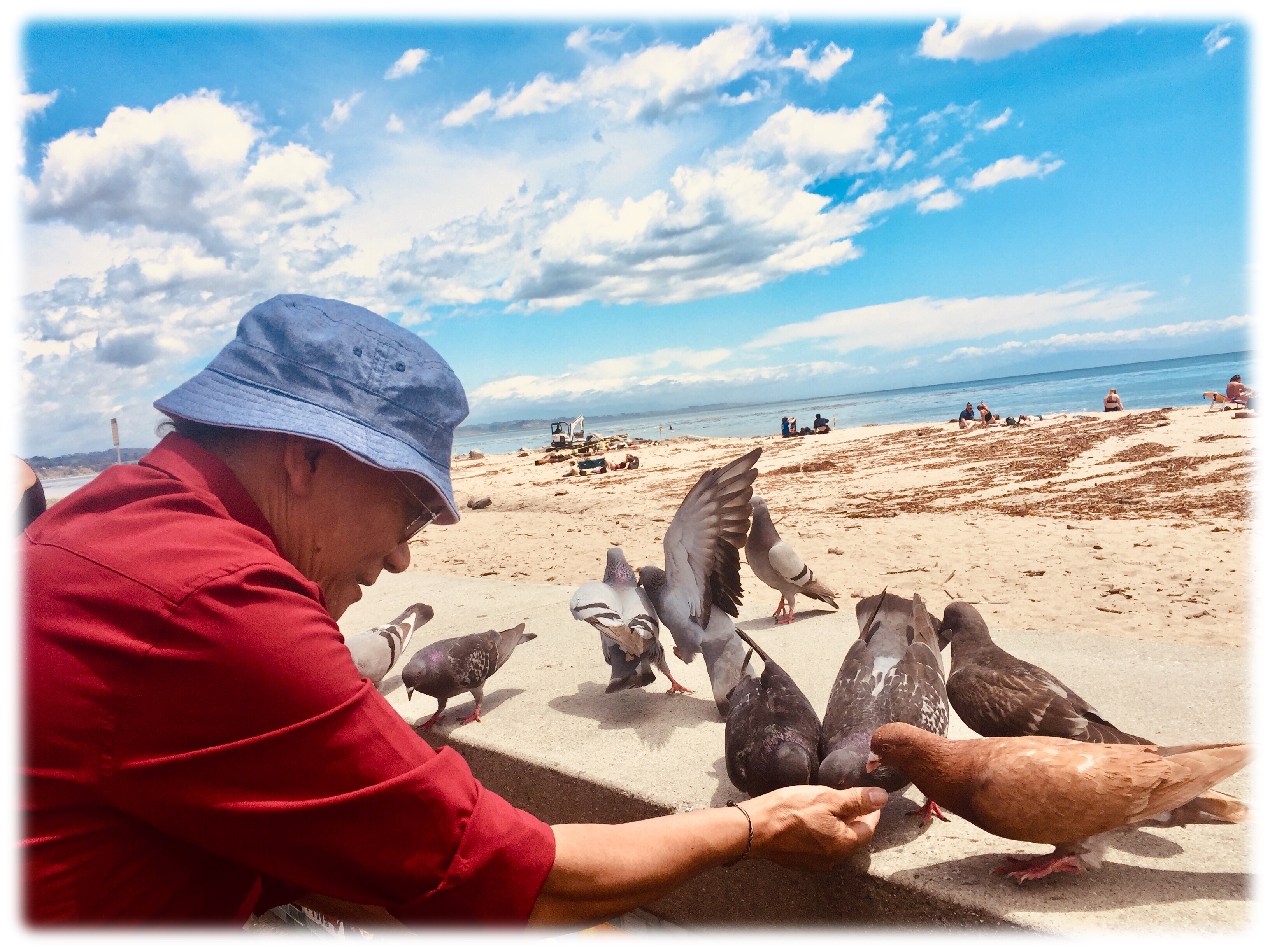 Lama Sonam beach birds