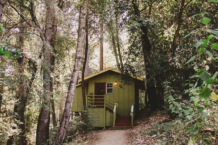 Redwood Cabin